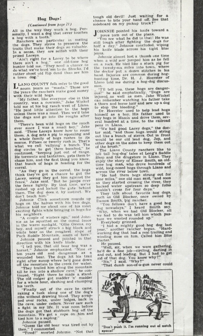 1956 article on Lacy Hog Dogs 3
