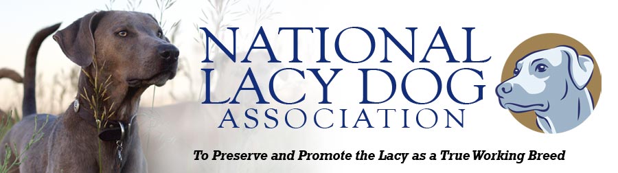 National Lacy Dog Association