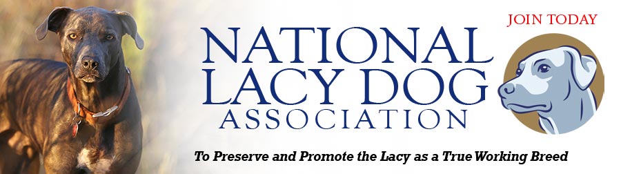 National Lacy Dog Association
