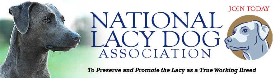 National Lacy Dog Association