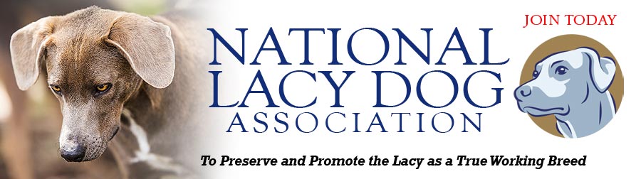 National Lacy Dog Association