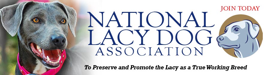 National Lacy Dog Association