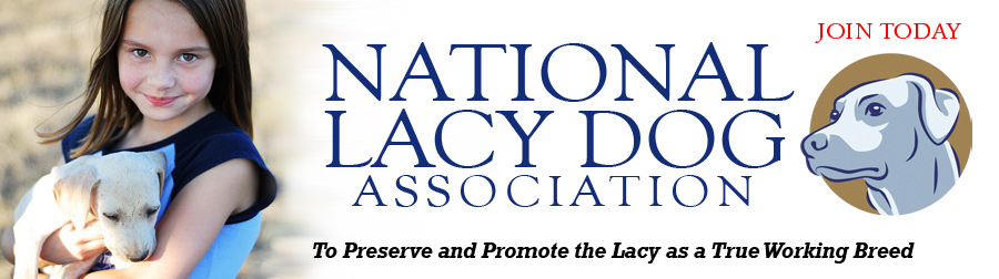 National Lacy Dog Association