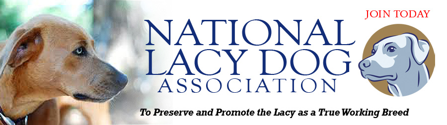 National Lacy Dog Association