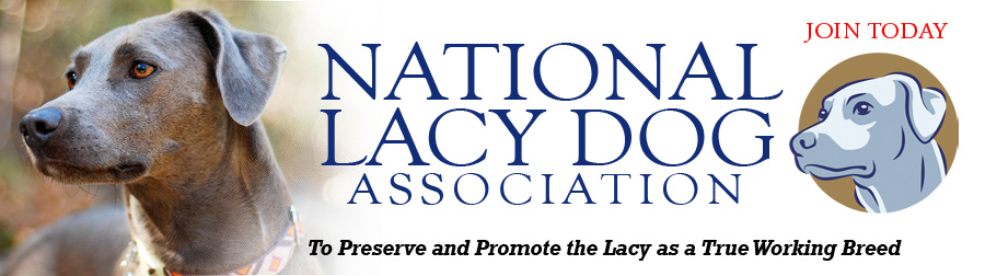 National Lacy Dog Association