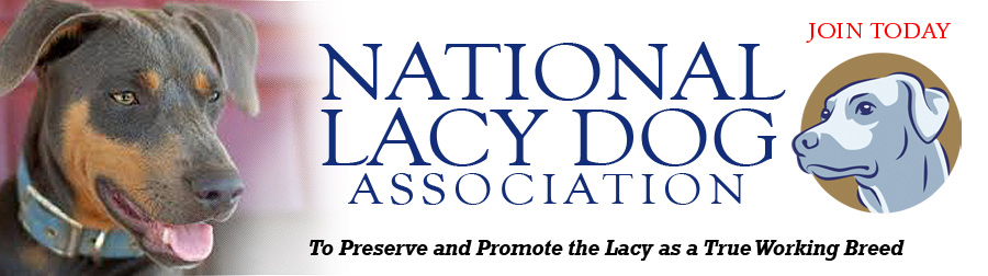 National Lacy Dog Association