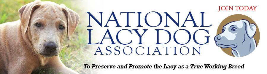 National Lacy Dog Association