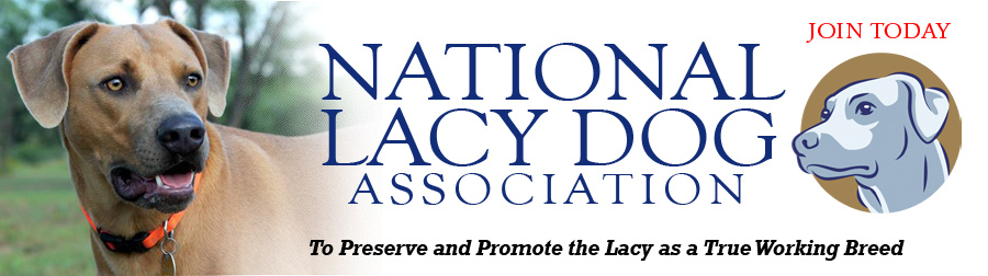 National Lacy Dog Association